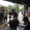 Harga Sawit Turun, PT RMM Tetap Serap TBS Sesuai Ketentuan Pemerintah