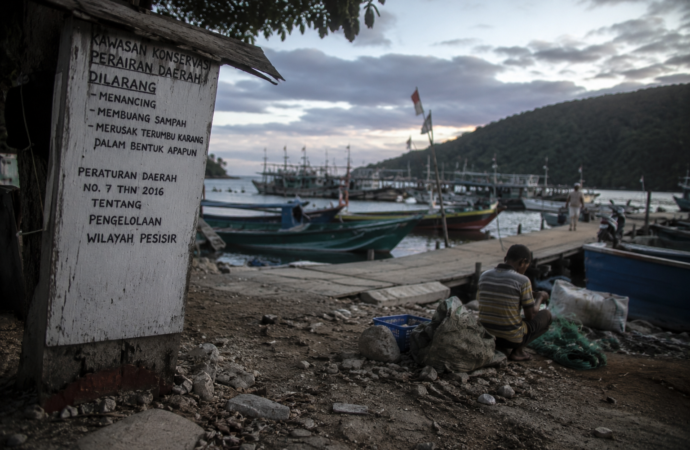 Regulasi Dinilai Jadi Hambatan Pengembangan Wisata Bahari Indonesia